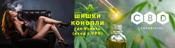 индика Балахна