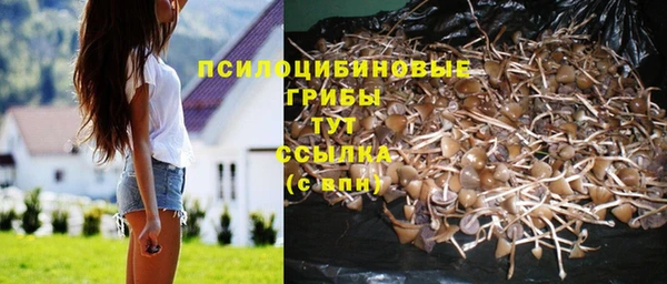 индика Балахна