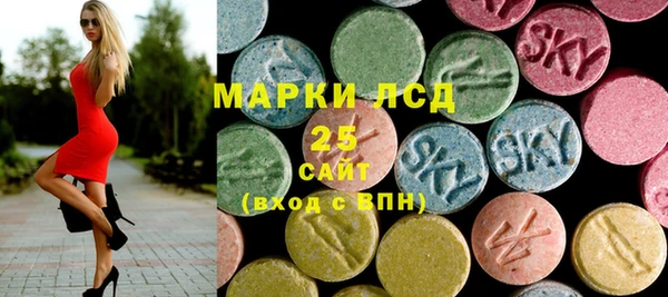 индика Балахна