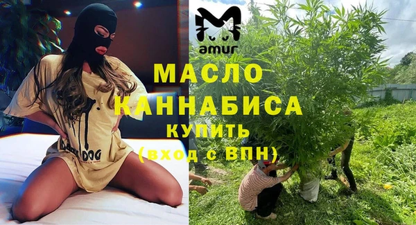 индика Горняк