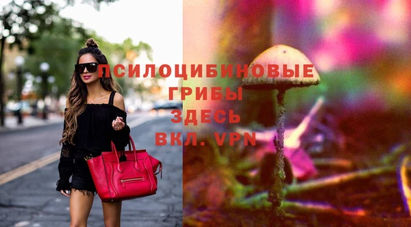 индика Балахна