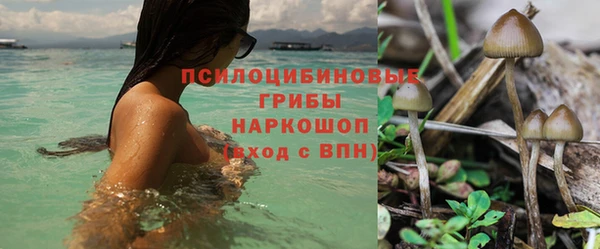 индика Балахна