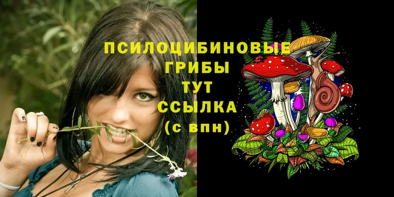 Псилоцибиновые грибы MAGIC MUSHROOMS  Гулькевичи 