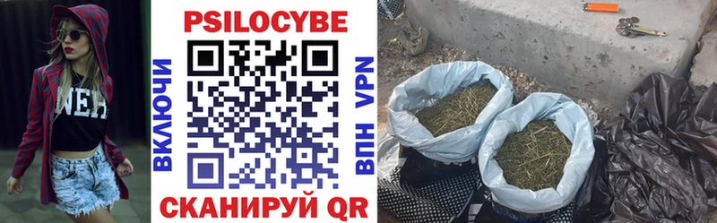 Галлюциногенные грибы Cubensis  Гулькевичи 