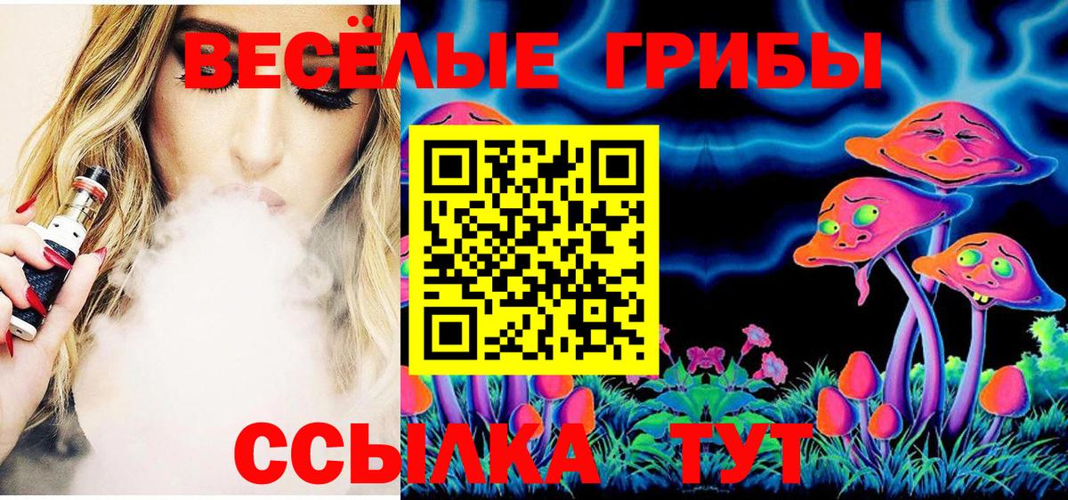 Галлюциногенные грибы Cubensis  Вход с VPN  Гулькевичи 