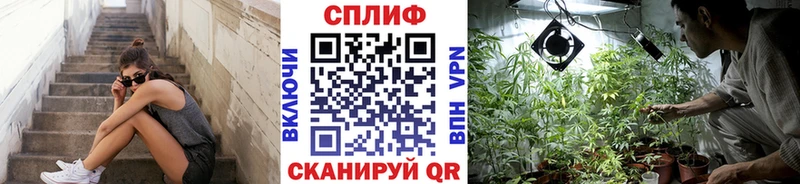 где можно купить   Гулькевичи  Каннабис сатива 